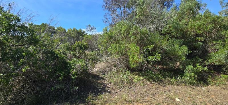 0 Bedroom Property for Sale in Groot Brakrivier Central Western Cape